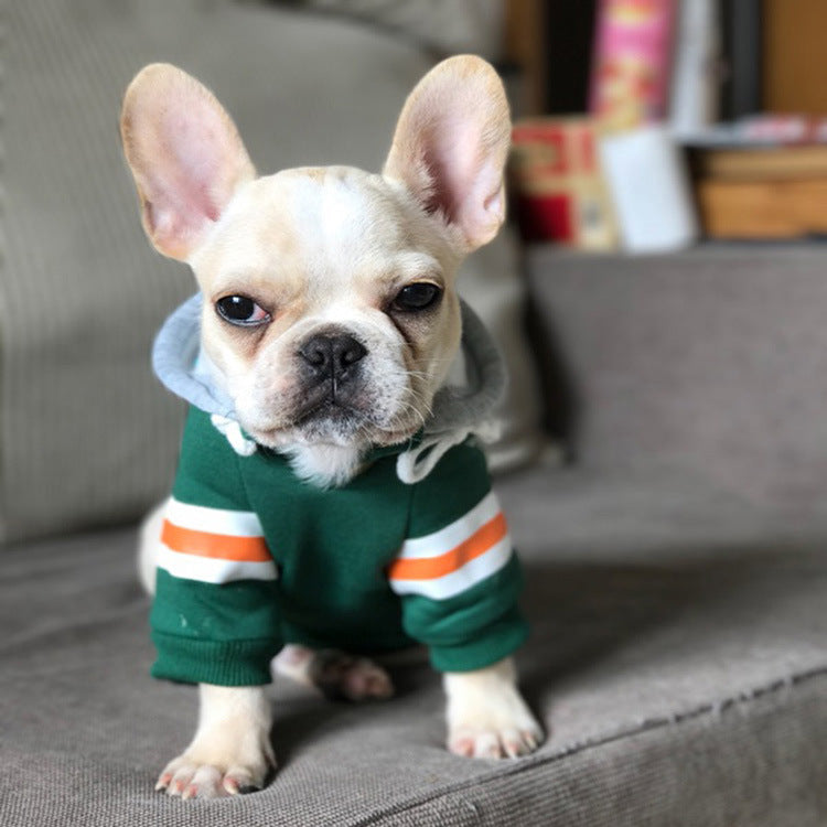 Why Your Pet Deserves the Best: The Pet Sweater That Combines Comfort and Style